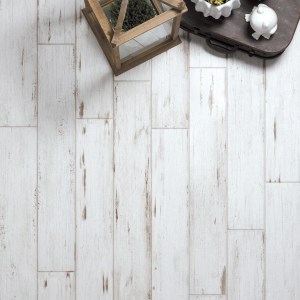 페인티드 PAINTED